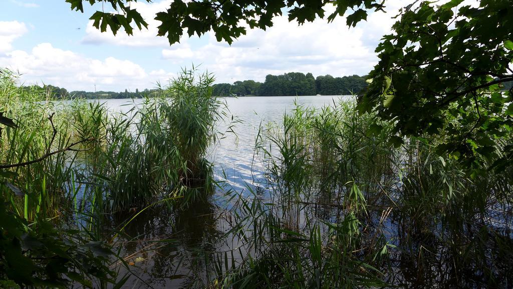 Ferienhaus Natura Neuruppin Chambre photo